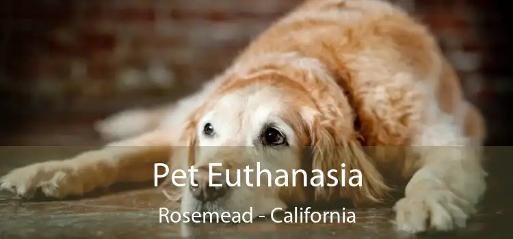 Pet Euthanasia Rosemead - California