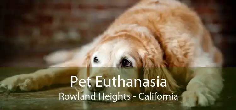 Pet Euthanasia Rowland Heights - California