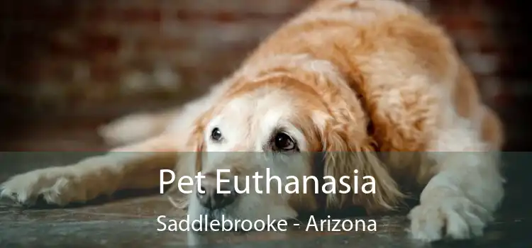 Pet Euthanasia Saddlebrooke - Arizona