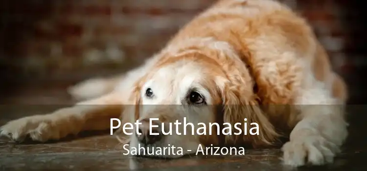 Pet Euthanasia Sahuarita - Arizona