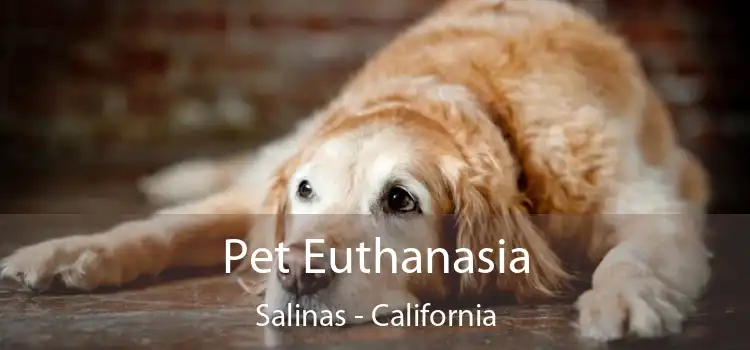 Pet Euthanasia Salinas - California