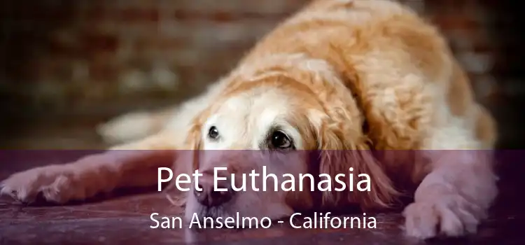 Pet Euthanasia San Anselmo - California