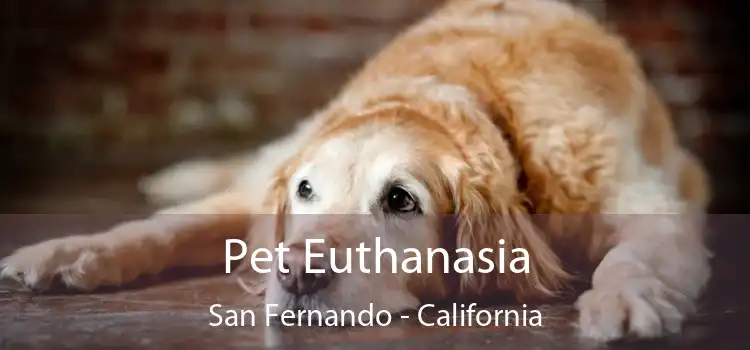 Pet Euthanasia San Fernando - California