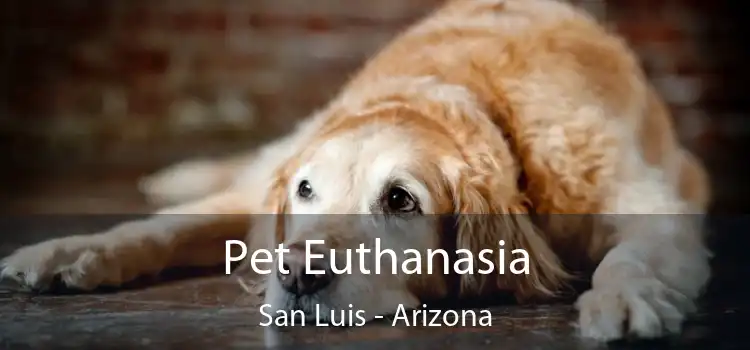 Pet Euthanasia San Luis - Arizona
