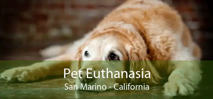 Pet Euthanasia San Marino - California