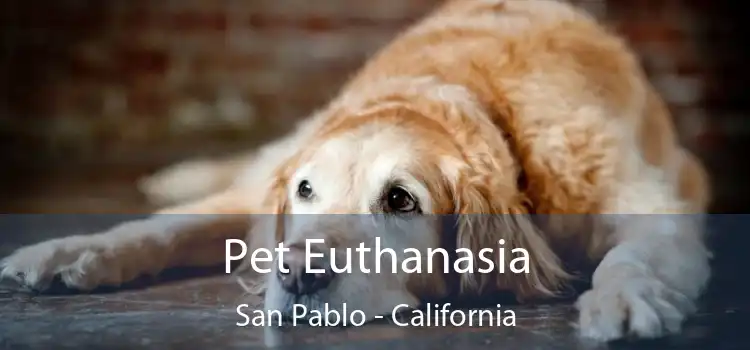 Pet Euthanasia San Pablo - California