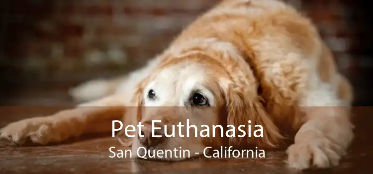 Pet Euthanasia San Quentin - California