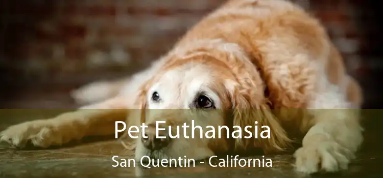 Pet Euthanasia San Quentin - California