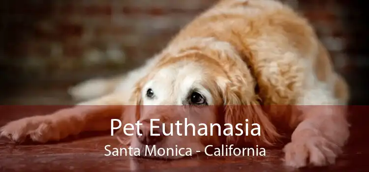 Pet Euthanasia Santa Monica - California