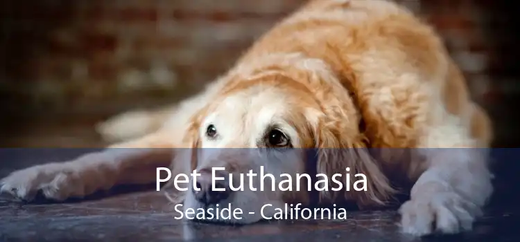Pet Euthanasia Seaside - California