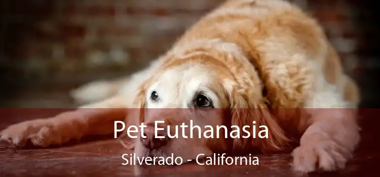 Pet Euthanasia Silverado - California