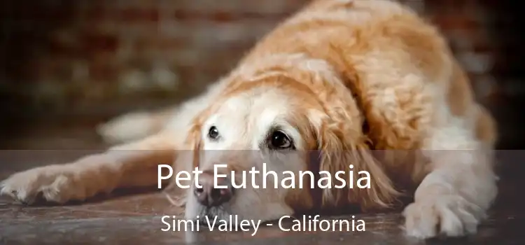 Pet Euthanasia Simi Valley - California
