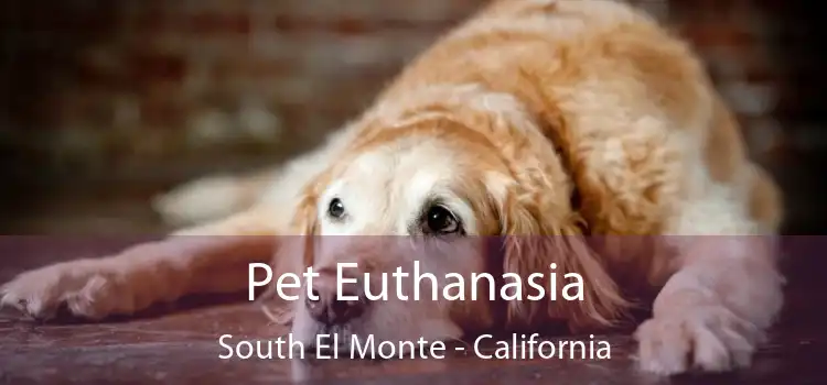 Pet Euthanasia South El Monte - California