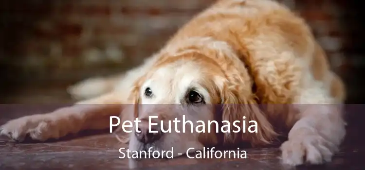 Pet Euthanasia Stanford - California