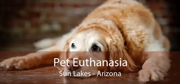 Pet Euthanasia Sun Lakes - Arizona