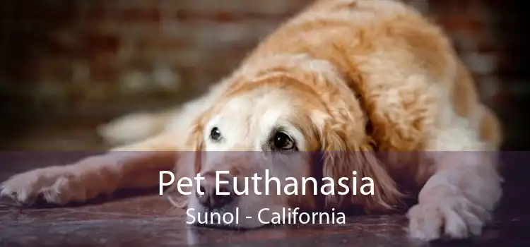 Pet Euthanasia Sunol - California