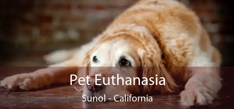 Pet Euthanasia Sunol - California