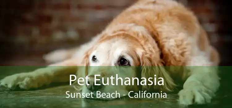 Pet Euthanasia Sunset Beach - California