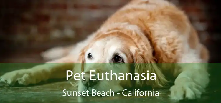 Pet Euthanasia Sunset Beach - California