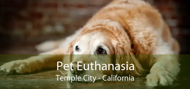 Pet Euthanasia Temple City - California