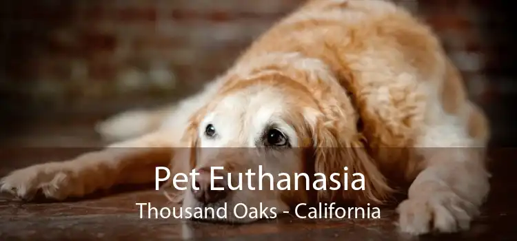 Pet Euthanasia Thousand Oaks - California