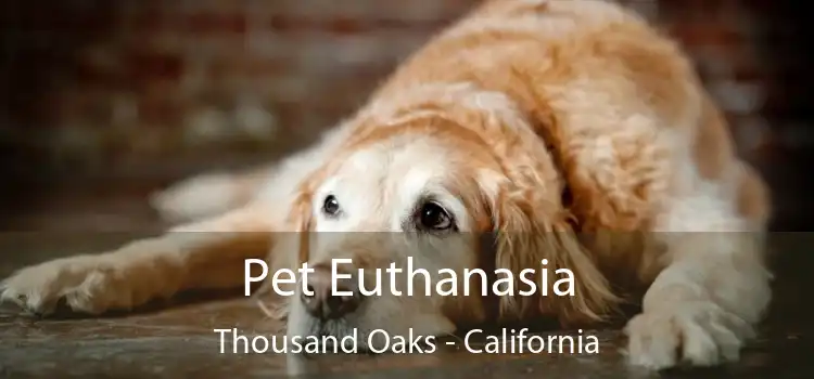 Pet Euthanasia Thousand Oaks - California