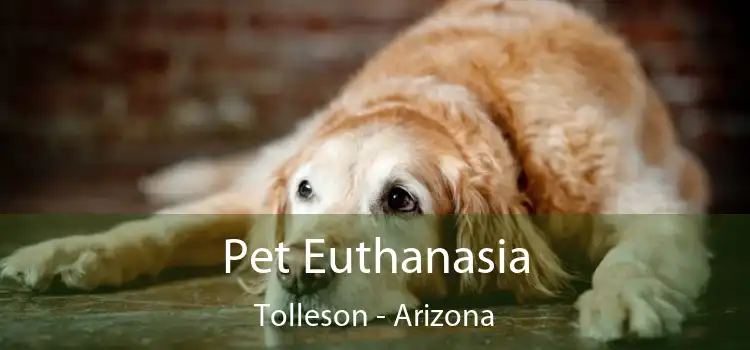 Pet Euthanasia Tolleson - Arizona