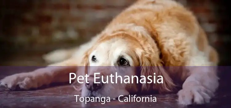 Pet Euthanasia Topanga - California