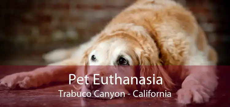 Pet Euthanasia Trabuco Canyon - California