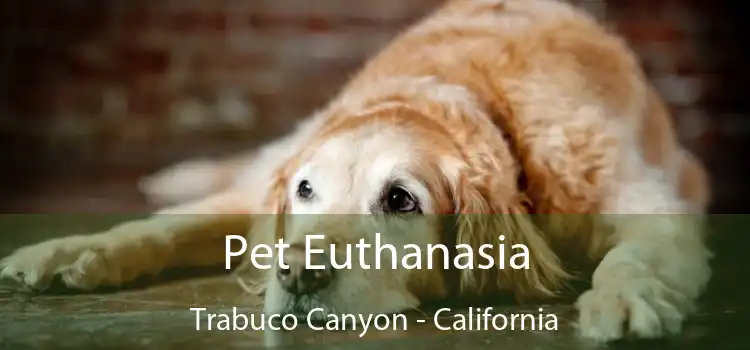 Pet Euthanasia Trabuco Canyon - California