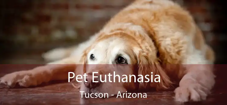 Pet Euthanasia Tucson - Arizona
