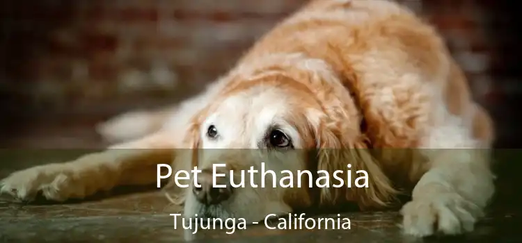Pet Euthanasia Tujunga - California