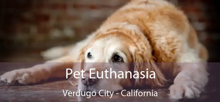 Pet Euthanasia Verdugo City - California