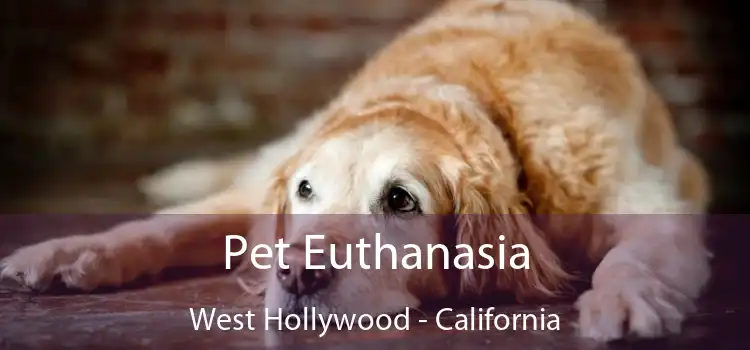 Pet Euthanasia West Hollywood - California