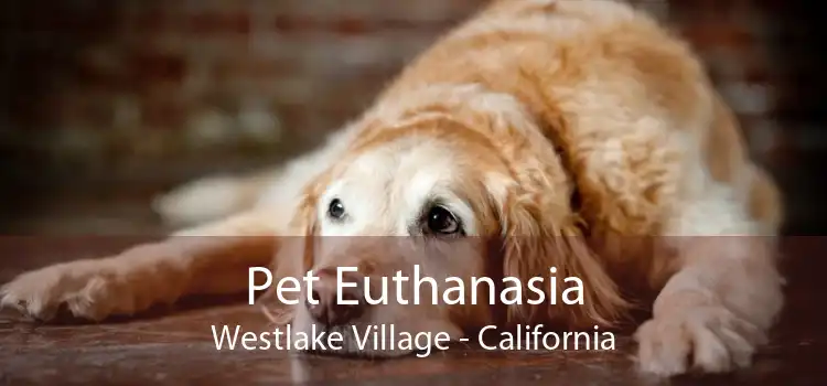 Pet Euthanasia Westlake Village - California