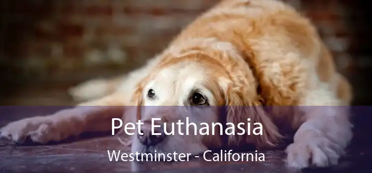 Pet Euthanasia Westminster - California
