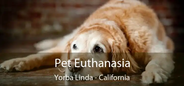 Pet Euthanasia Yorba Linda - California