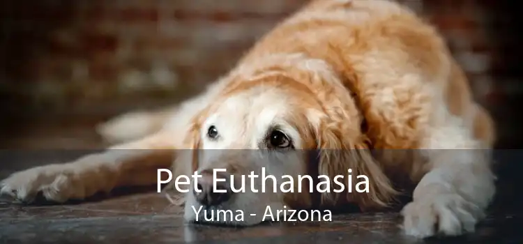 Pet Euthanasia Yuma - Arizona