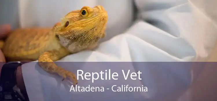 Reptile Vet Altadena - California