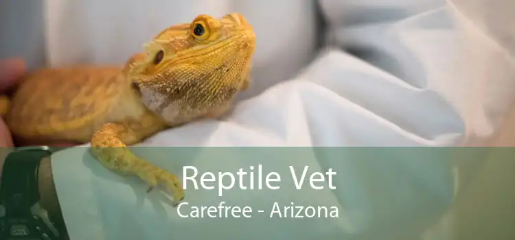Reptile Vet Carefree - Arizona
