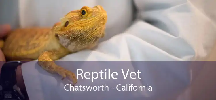 Reptile Vet Chatsworth - California