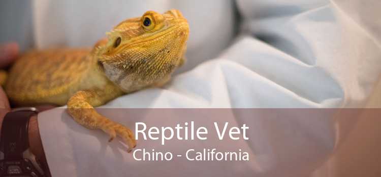 Reptile Vet Chino - California
