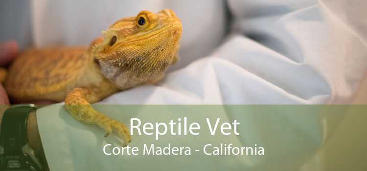Reptile Vet Corte Madera - California