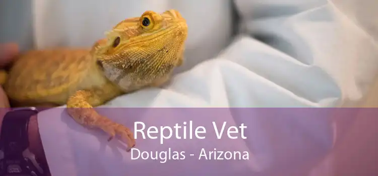 Reptile Vet Douglas - Arizona
