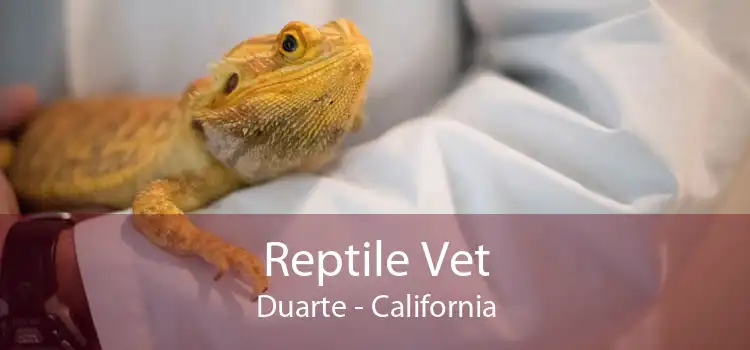 Reptile Vet Duarte - California