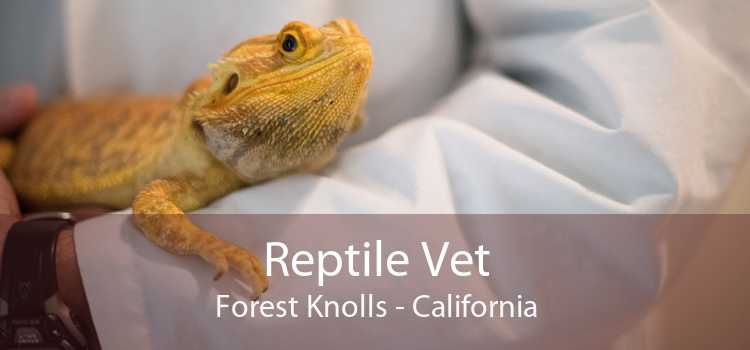 Reptile Vet Forest Knolls - California