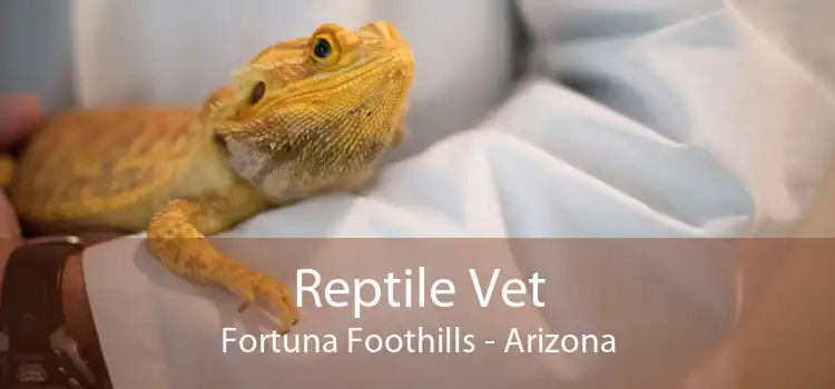 Reptile Vet Fortuna Foothills - Arizona