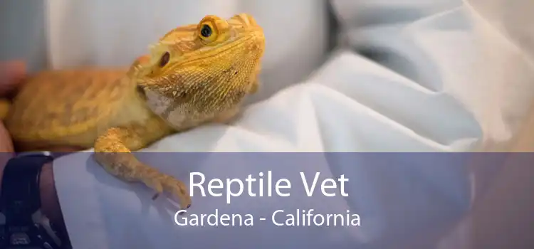Reptile Vet Gardena - California