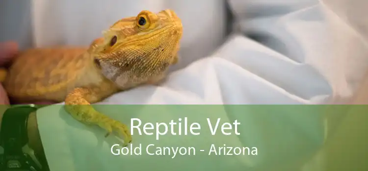 Reptile Vet Gold Canyon - Arizona