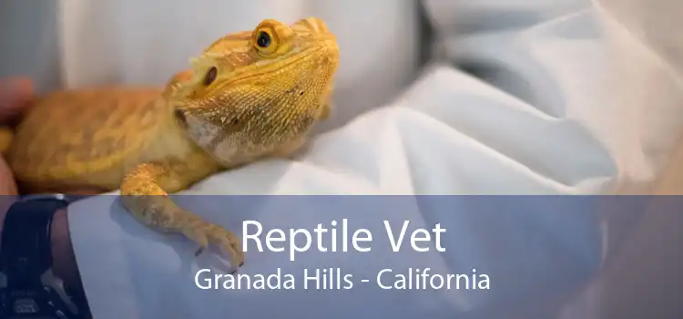 Reptile Vet Granada Hills - California